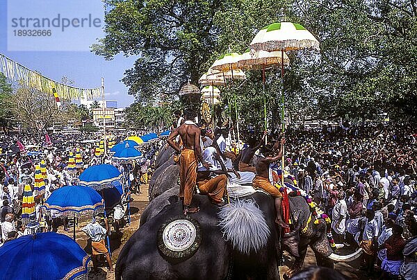 Pooram Festival in Thrissur Trichur  Kerala  Südindien  Indien  Asien