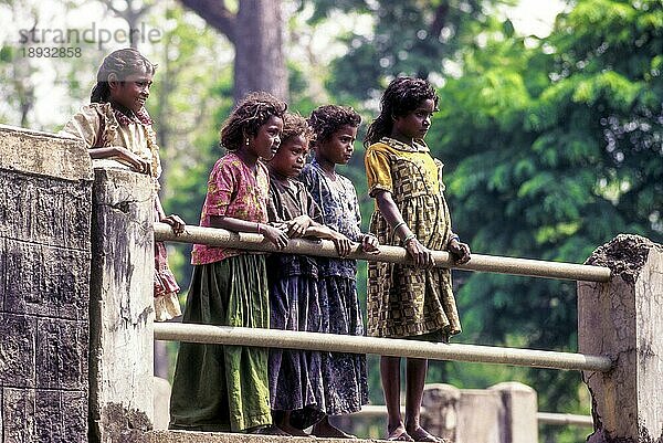 Stammeskinder in Belle  Kabini  Karnataka  Südindien  Indien  Asien