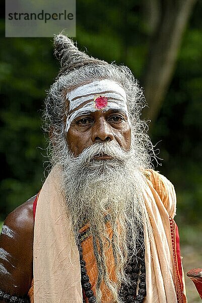 Hindu Sadhu Heiliger Asket heiliger Mann im Murugan Tempel in Pazhamudircholai in der Nähe von Madurai  Tamil Nadu  Südindien  Indien  Asien