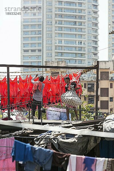 Dhobi Ghat  Waschviertel Open Laundry in Mahalaxmi  Sehenswürdigkeit. Tausende Menschen reinigen hier die Wäsche von Gewerbe und Privathaushalten  Stadtansicht von Mumbai  Maharashtra  Indien  Asien