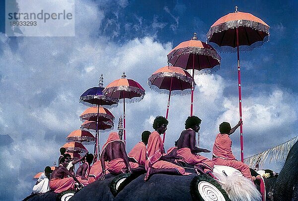 Bunter Blick auf die Thiruvembady-Gruppe beim Pooram-Fest in Thrissur Trichur  Kerala  Südindien  Indien  Asien