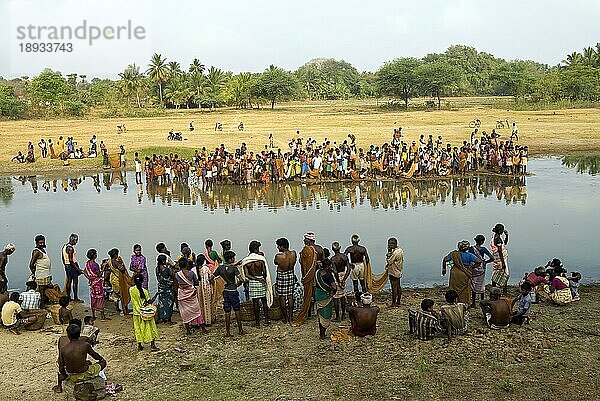 Fischereifest in Venthanpatti in der Nähe von Ponnamaravathy  Bezirk Pudukkottai  Tamil Nadu  Südindien  Inida  Asien. Während der Sommersaison  wenn das Wasser des Sees auf ein Minimum gesunken ist  versammeln sich alle Bewohner des Dorfes in diesem Seegebiet  um in einer günstigen Zeit Fische zu fangen. Sie können die Fische fangen  wie sie wollen  indem sie ein Fischerfest feiern