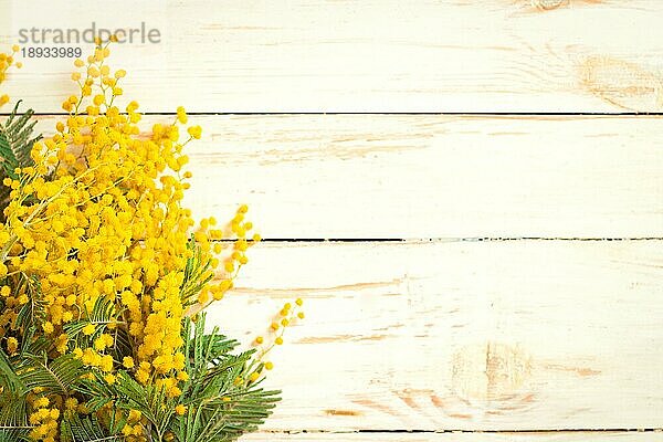 Mimose Blumenstrauß auf dem rustikalen weißen hölzernen Hintergrund. Dekoration im Shabby-Chic-Stil. Selektiver Fokus. Platz für Text. Vintage-Retro-Ton