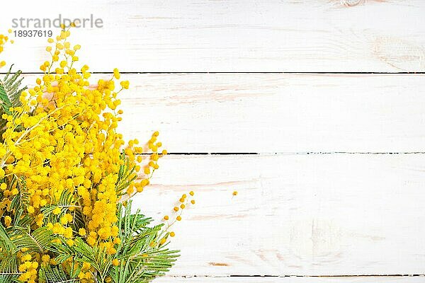Mimose Blumenstrauß auf dem rustikalen weißen hölzernen Hintergrund. Shabby-Chic-Stil Dekoration mit Blumen. Selektiver Fokus. Platz für Text