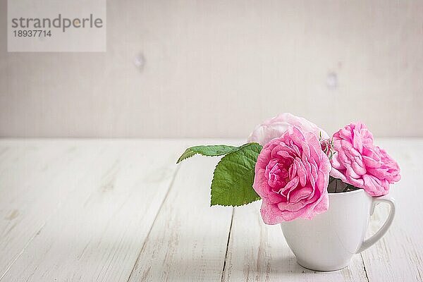 Schöne rosa Teerosen auf einem weißen Holzhintergrund. Romantischer Hintergrund. Rustikaler Shabby-Rahmen
