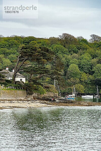 ST MAWES  CORNWALL  UK - 12. MAI: Boote liegen am 12. Mai 2021 in St Mawes  Cornwall  vor Anker. Zwei nicht identifizierte Personen