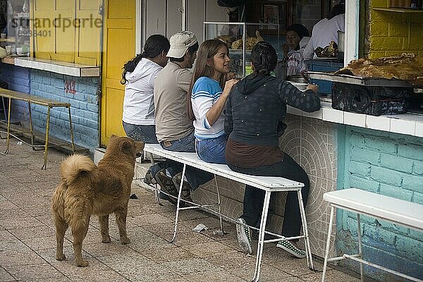 Straßenhund bettelt um Futter  Straßenrestaurant  Otavalo  Provinz Imbabura  Ekuador