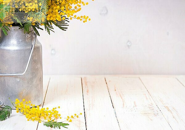 Mimosenblüten in einer Vintage-Metall-Milchkanne auf dem rustikalen weißen Holzhintergrund. Shabby-Chic-Stil Dekoration mit Blumen. Selektiver Fokus. Platz für Text
