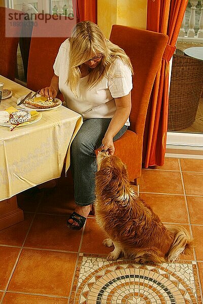 Frau mit Mischlingshund  Hund bettelt bei Tisch