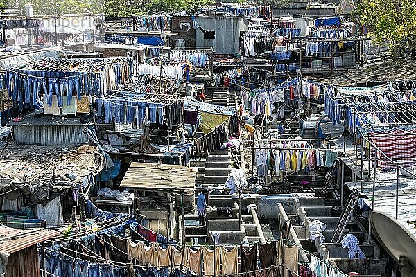 Dhobi Ghat  Waschviertel Open Laundry in Mahalaxmi  Sehenswürdigkeit. Tausende Menschen reinigen hier die Wäsche von Gewerbe und Privathaushalten  Stadtansicht von Mumbai  Maharashtra  Indien  Asien