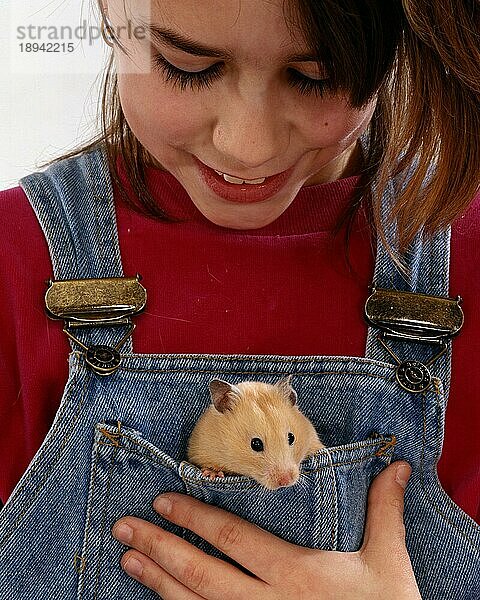 Mädchen mit Goldhamster (Mesocricetus auratus) in Brusttasche von Latzhose