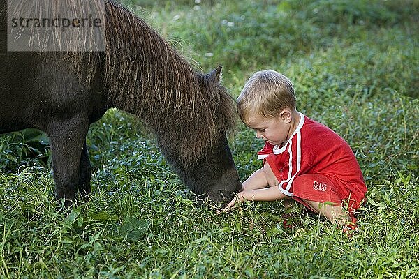 Junge mit Falabella-Pony  Normandie