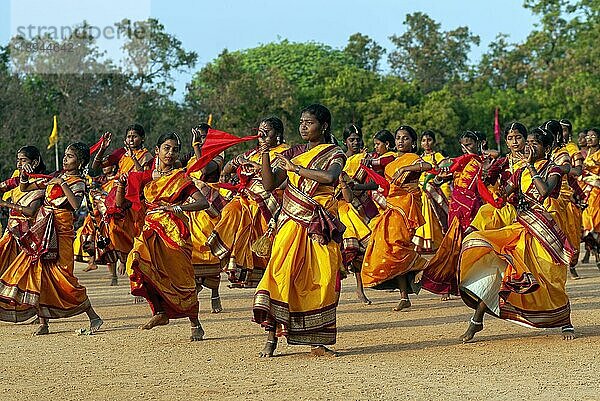 Mädchen führen Gruppentänze auf  Pongal-Feier in Madurai  Tamil Nadu  Südindien  Indien  Asien