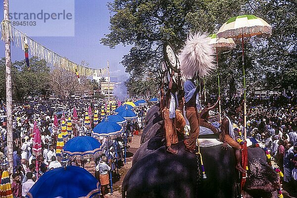 Pooram Festival in Thrissur Trichur  Kerala  Südindien  Indien  Asien