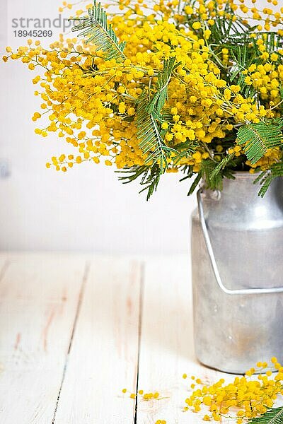 Mimosenblüten in einer Vintage-Metall-Milchkanne auf dem rustikalen weißen Holzhintergrund. Shabby-Chic-Stil Dekoration mit Blumen. Selektiver Fokus. Platz für Text