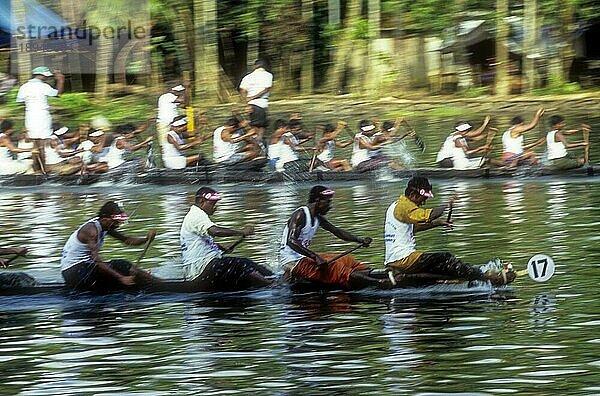 Schlangenbootrennen in Payippad bei Haripad  Kerala  Südindien  Indien  Asien