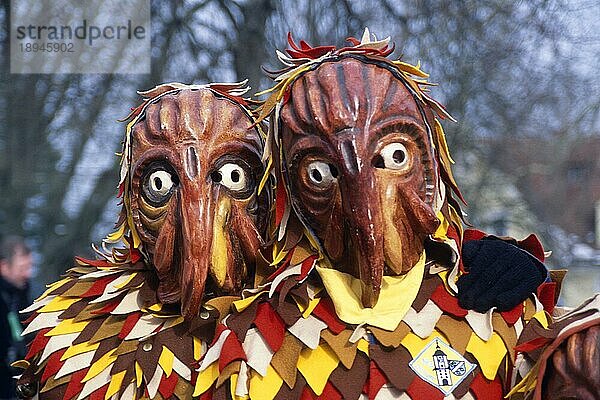 Menschen in Karnevalskostüm  Lindau  Bodensee  Bayern  Deutschland  Fastnacht  Europa