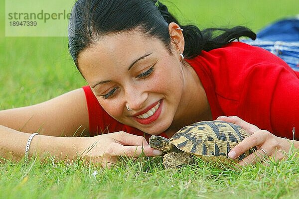 Frau streichelt Breitrandschildkröte (Testudo marginata)  Breitbandschildkröte  streicheln