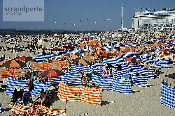 Menschen am Strand  Oostende  Belgien  Lenkdrachen  Drachen  Europa