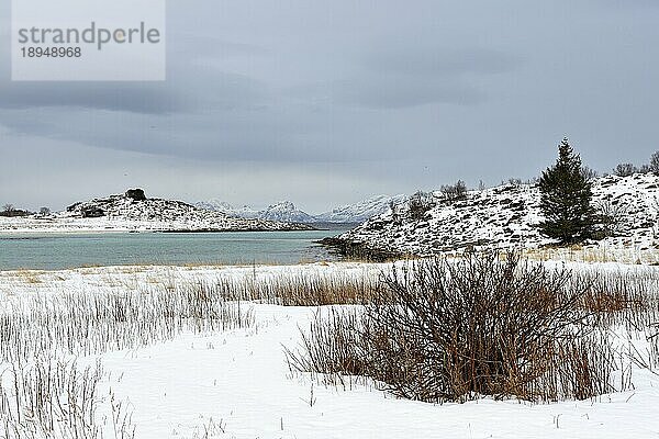 Hattvika-Bucht  Skrova  Lofoten  Norwegen  Europa