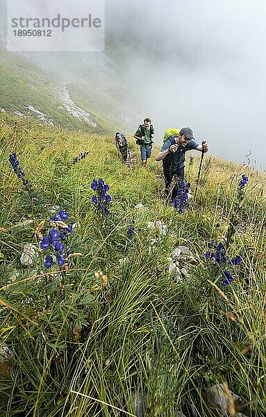 Bergsteiger beim Aufstieg zur Marwes  Säntis  Appenzell Ausserrhoden  Appenzeller Alpen  Schweiz  Europa