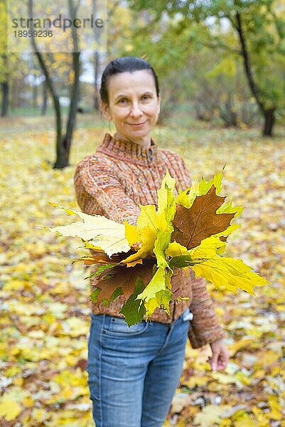 Eine lächelnde erwachsene kaukasische Frau hält und zeigt gelbe Ahornblätter im Herbst im Park