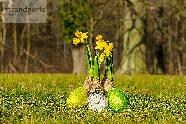 Tome für Ostern mit Narzissen und Eiern