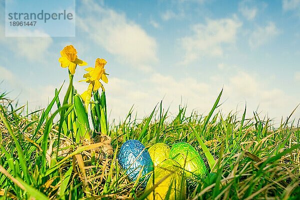 Ostereier mit Narzissen im Gras