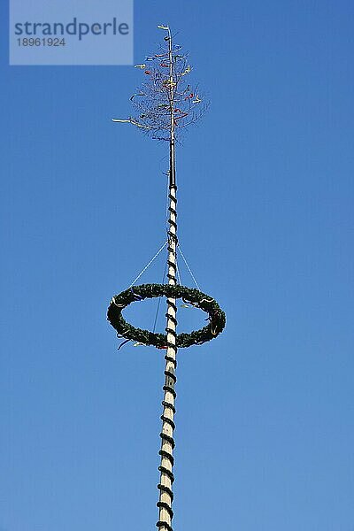 Maibaum  Baden-Württemberg  Deutschland  Europa