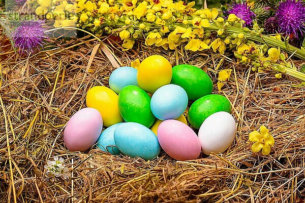 Kleine bunte Zucker und Schokoladeneier in einem Nest mit Blumen drumherum für das Osterfest