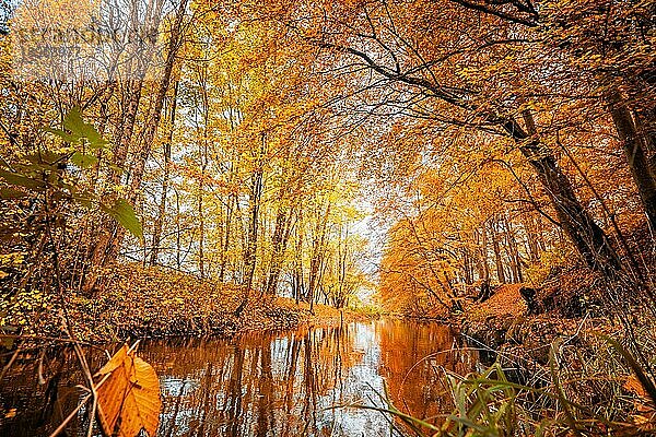 Bunte Herbstfarben im Wald mit einem idyllischen Fluss  der im Herbst durchfließt