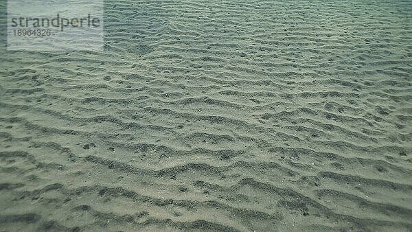 Sandiger  schlammiger Boden mit Sonnenstrahlen am Morgen. Natürlicher Hintergrund aus der Unterwassertiefe  Rotes Meer  Ägypten  Afrika