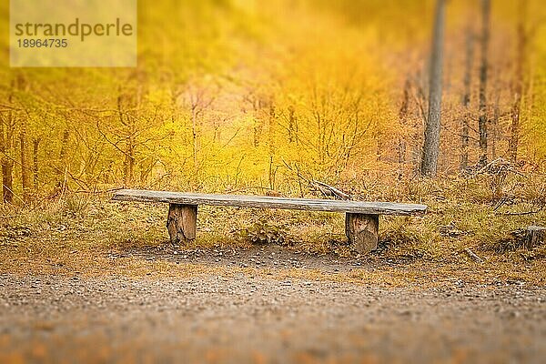 Alte Bank mit einer Planke in einem hellen Wald in gelben Farben im indischen Sommer