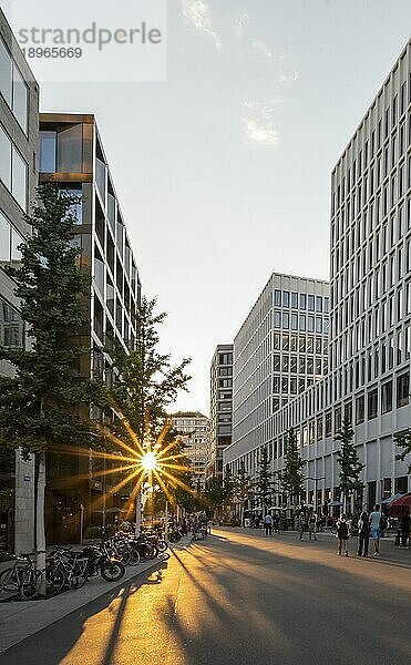 Bürogebäude an der Europaallee  im Abendlicht  Sonnenstern  Zürich  Schweiz  Europa