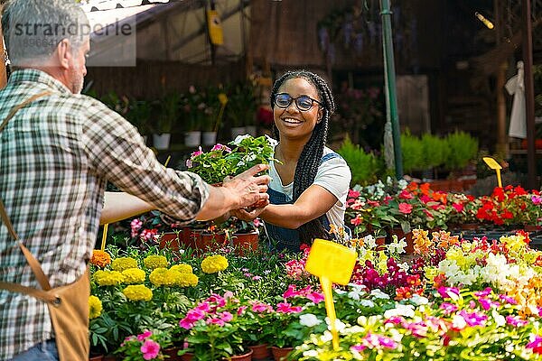 Zufriedene Kundin kauft Blumen von einem Gärtner in einer Gärtnerei im Gewächshaus