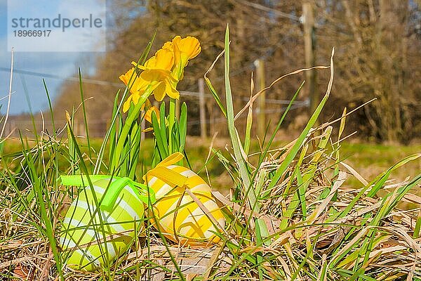 Ostereier und Osterglocken in einer Landschaft