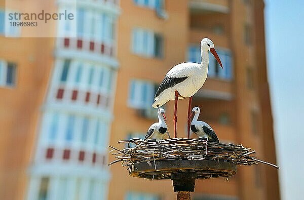 Ein erwachsener Vogel (ciconia) mit zwei kleinen Tieren in einem Nest