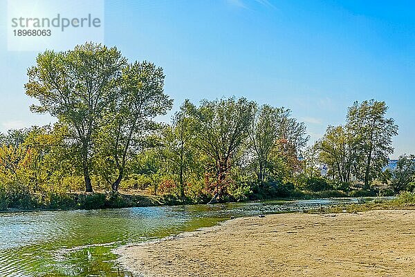 Schöner Spätsommertag in Flussnähe mit Schilf und Bäumen drum herum. Starkes Gegenlicht