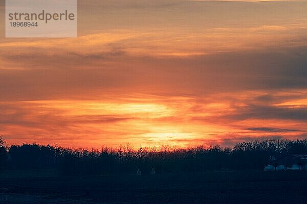 Feuer am Himmel Sonnenuntergang über einer Reihe von Baumsilhouetten in der Morgendämmerung