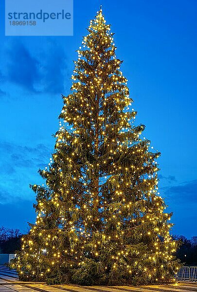 Natürlicher Outdoor-Weihnachtsbaum bei Nacht