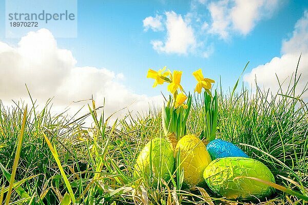 Ostereier im grünen Gras mit Narzissen