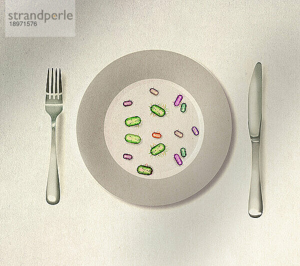 Viele Mikroorganismen auf einem Teller
