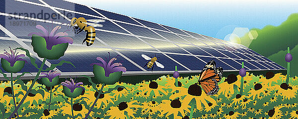 Sonnenkollektoren in einer Blumenwiese mit Bienen und Schmetterlingen