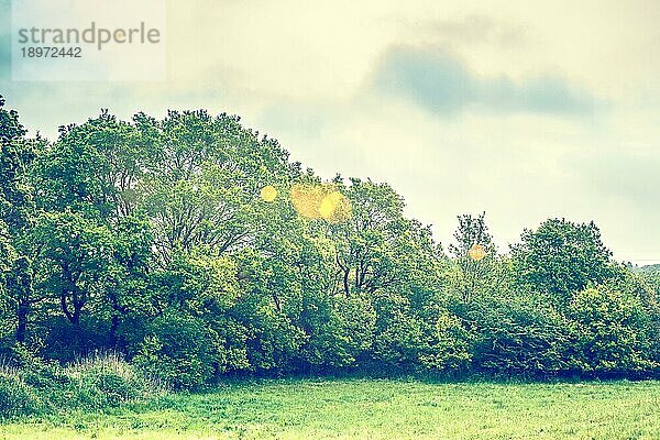 Landschaft mit zauberhaftem goldenem Bokeh in einem Park