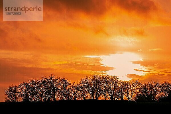 Sonnenuntergang mit Baumsilhouetten