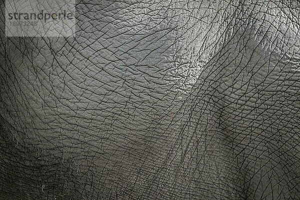 Close up Foto von Elefantenhaut Hintergrund in grauer Farbe