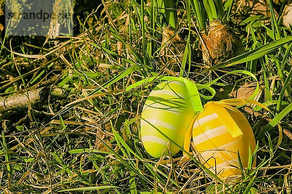 Bunte Ostereier auf grünem Gras