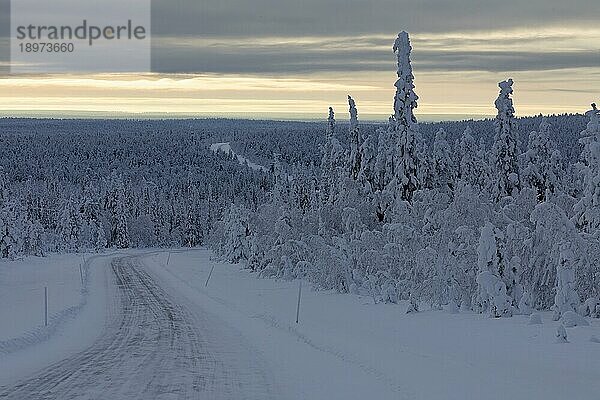 Schneebedeckte Straße 955 auf dem Weg Richtung Kittilä im Winter  Lappland  Finnland  Europa