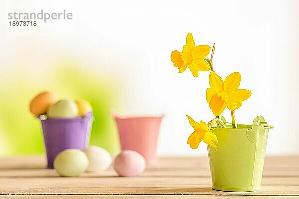 Narzissen zu Ostern in einem grünen Blumentopf