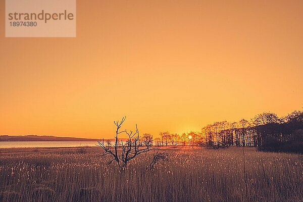 Sonnenaufgang über einem See mit Baumsilhouetten